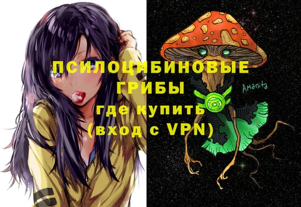 соль ск Вязьма